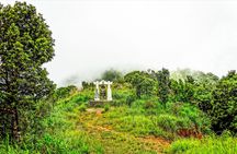 Full-day tour from Hue - Trekking in Bach Ma National Park