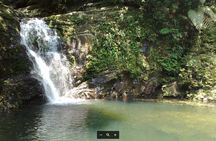 Full-day tour from Hue - Trekking in Bach Ma National Park