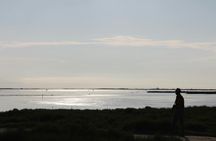 Ebro Delta Between Lagoons Guided Tour