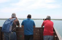 Ebro Delta Between Lagoons Guided Tour