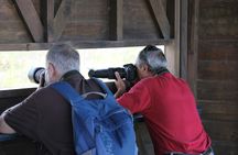 Ebro Delta Between Lagoons Guided Tour
