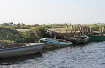 Ebro Delta Guided Tour