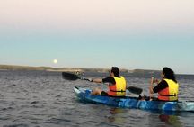 Lanzarote Kayaking & Snorkelling Ticket