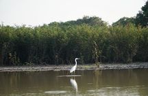 Full-day inundated forest of the Tonle Sap lake join-in tour