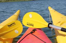 Illa de Gràcia Kayak Tour