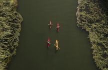Illa de Gràcia Kayak Tour