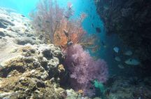 Snorkeling tour to Yawasam and Talu Island from Krabi