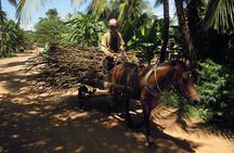 Koh Dach Island by tuk-tuk in Phnom Penh full-day private tour