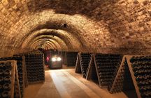 Codorníu winery guided tour with cava tasting