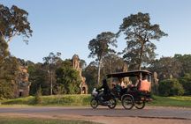 Angkor Wat and Ta Prohm half-day private tour by tuk tuk