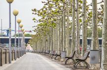Düsseldorf's top photogenic spots tour with a local guide