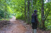 Sinharaja Forest Reserve private trek from Bentota region