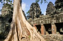 Angkor Wat and Ta Prohm Temple half-day private tour