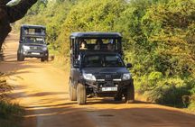 Yala National Park safari from Bentota region
