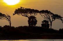 Yala National Park safari from Bentota region