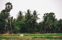 Countryside half-day private biking tour