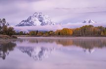 Winter and spring wildlife sunrise safari from Jackson Hole