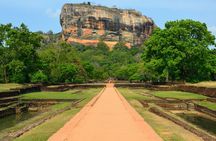 Sigiriya and Dambulla tour from Bentota region