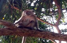 ATV bike, trekking and kayaking private tour from Bentota region