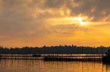 Madu River private boat cruise from Bentota region
