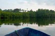 Madu River private boat cruise from Bentota region