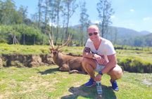 Sunrise trekking tour at Sunan Ibu from Bandung