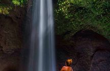 Ubud secret waterfalls and picturesque tour