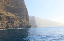 3-hour whale and dolphin observation on an eco-catamaran