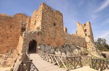Tour of the ancient Jerash and Ajloun castle from the Dead Sea