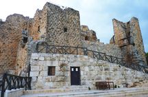 Tour of the ancient Jerash and Ajloun castle from the Dead Sea