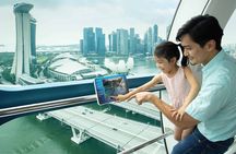 Singapore Flyer observation wheel and Time Capsule entry tickets
