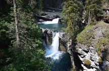 Banff area and canyon walking tour from Calgary
