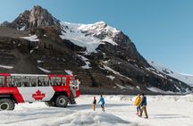 Columbia Icefield full-day adventure tour from Calgary