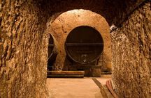 Wine cellar guided tour with tasting in Sant'Agata de' Goti