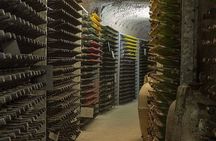Wine cellar guided tour with tasting in Sant'Agata de' Goti