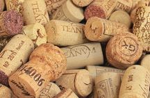 Wine cellar guided tour with tasting in Sant'Agata de' Goti