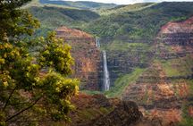 Waimea Canyon and Koke'e Adventure Tour