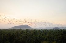 Private tour of the Battambang highlights by tuk-tuk