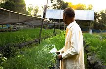 Community village full-day private tour from Siem Reap