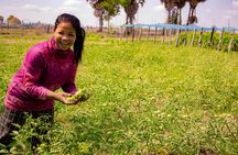 Community village full-day private tour from Siem Reap