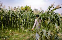 Community village full-day private tour from Siem Reap
