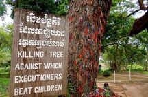 Toul Sleng Museum & the Killing Fields half-day private tour