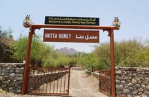 Hatta safari tour with Honey Bee Garden entrance