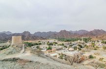 Desert drive with Wadi Shawaka pools tour