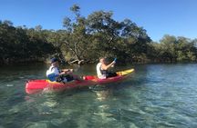 Brunswick River nature kayak tour