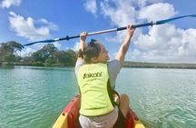 Brunswick River nature kayak tour