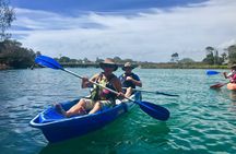 Brunswick River nature kayak tour