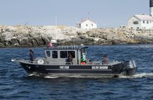 Marine wildlife tour in Victoria