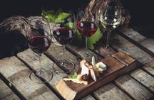 Sauzal vineyard three-hour wine tour with tastings