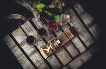 Sauzal vineyard three-hour wine tour with tastings